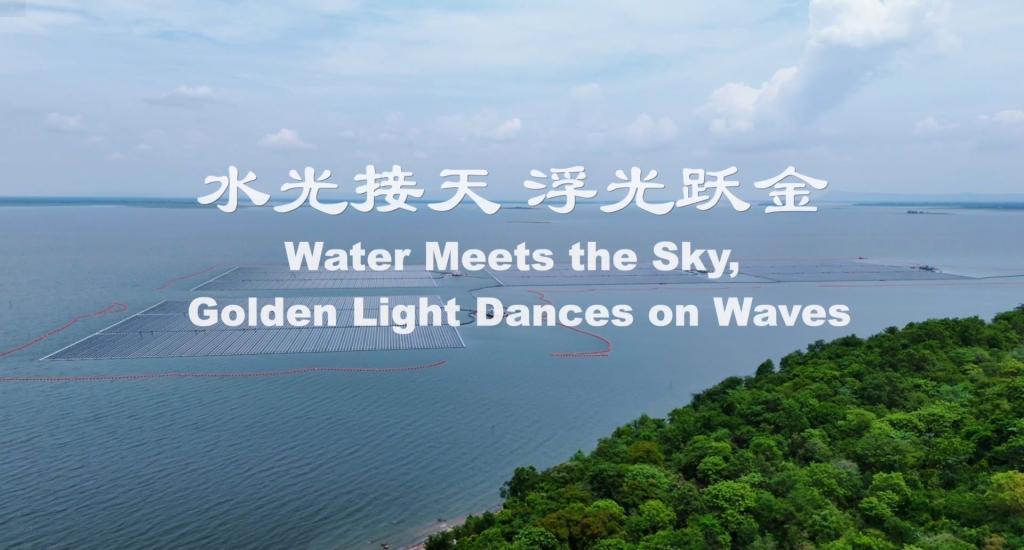 尊龙凯时·(中国)网站-AG旗舰厅